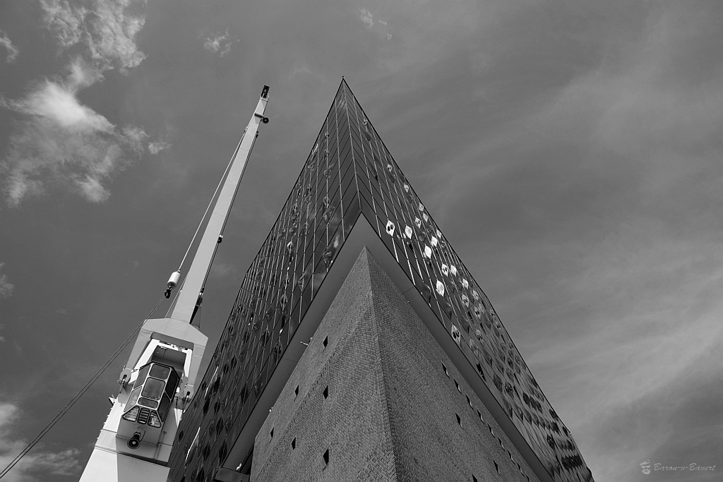 DSC 1503