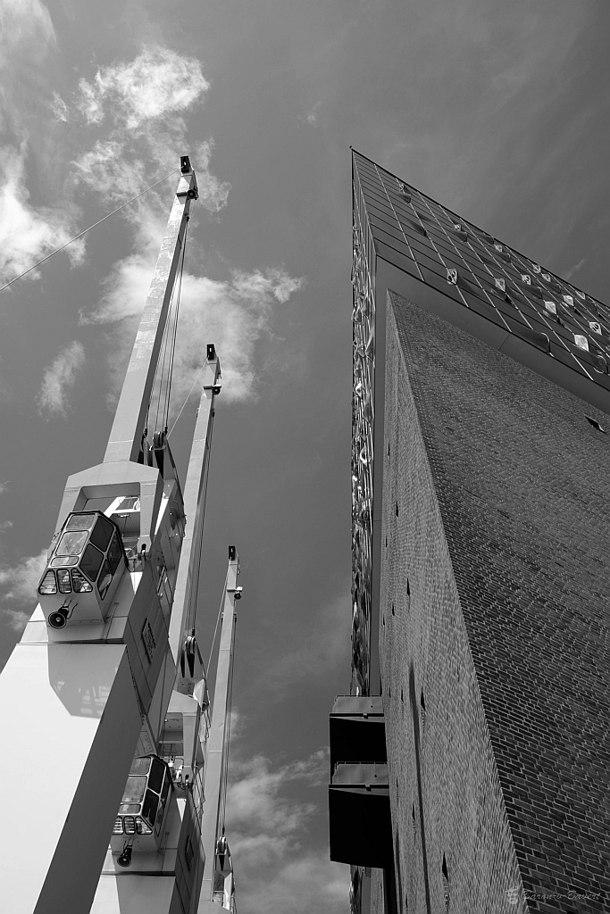 DSC 1504