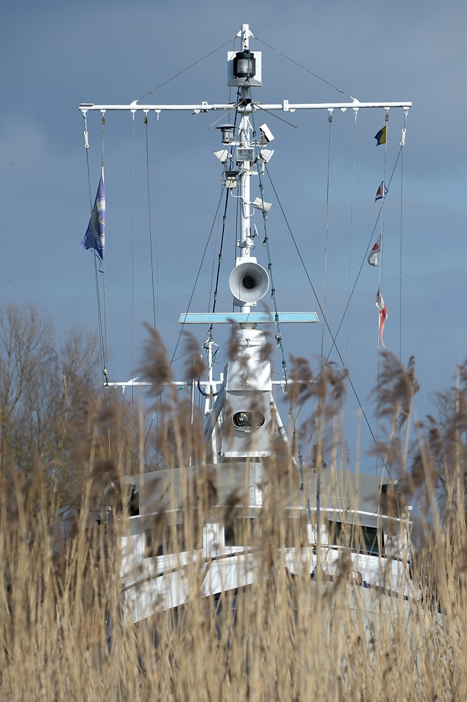 DSC 1568