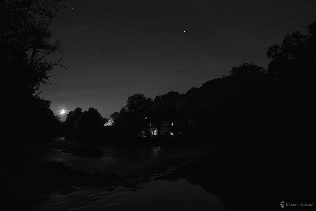 DSC 1614sw