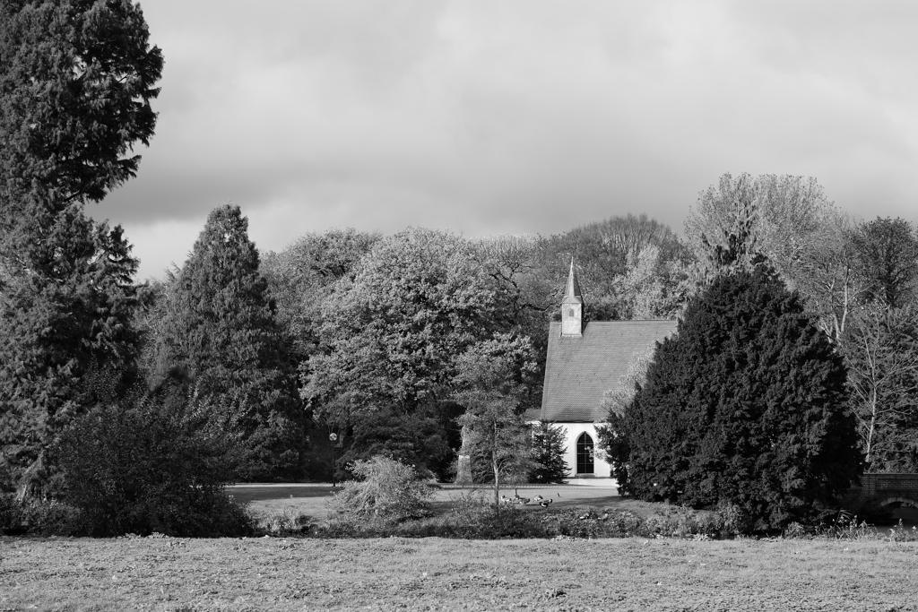 DSC 1717