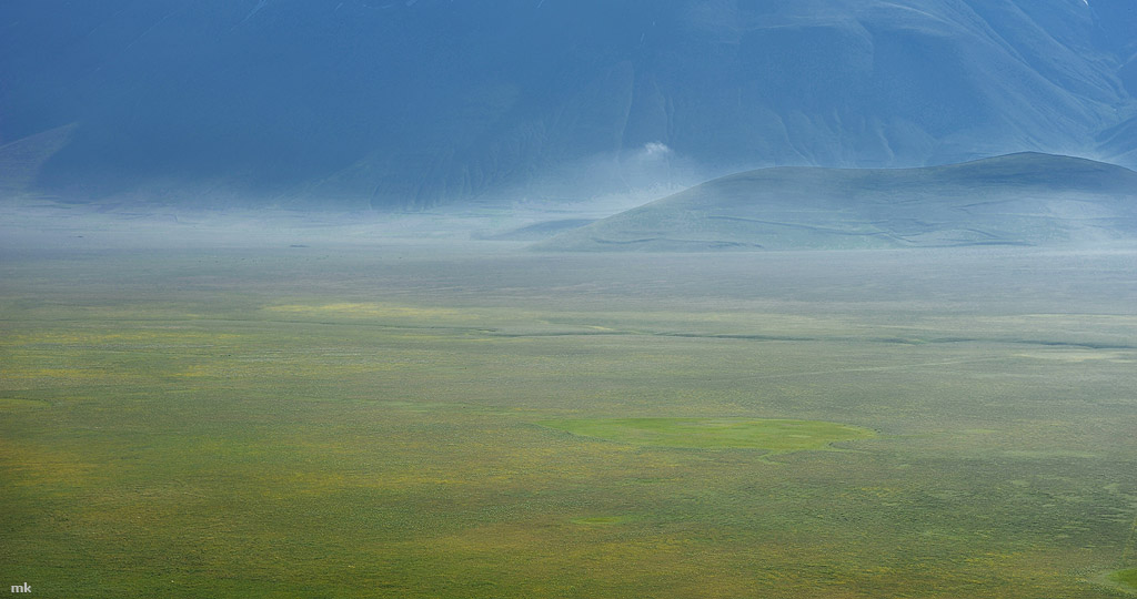 DSC 1761