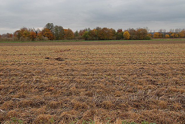 DSC 1789 4