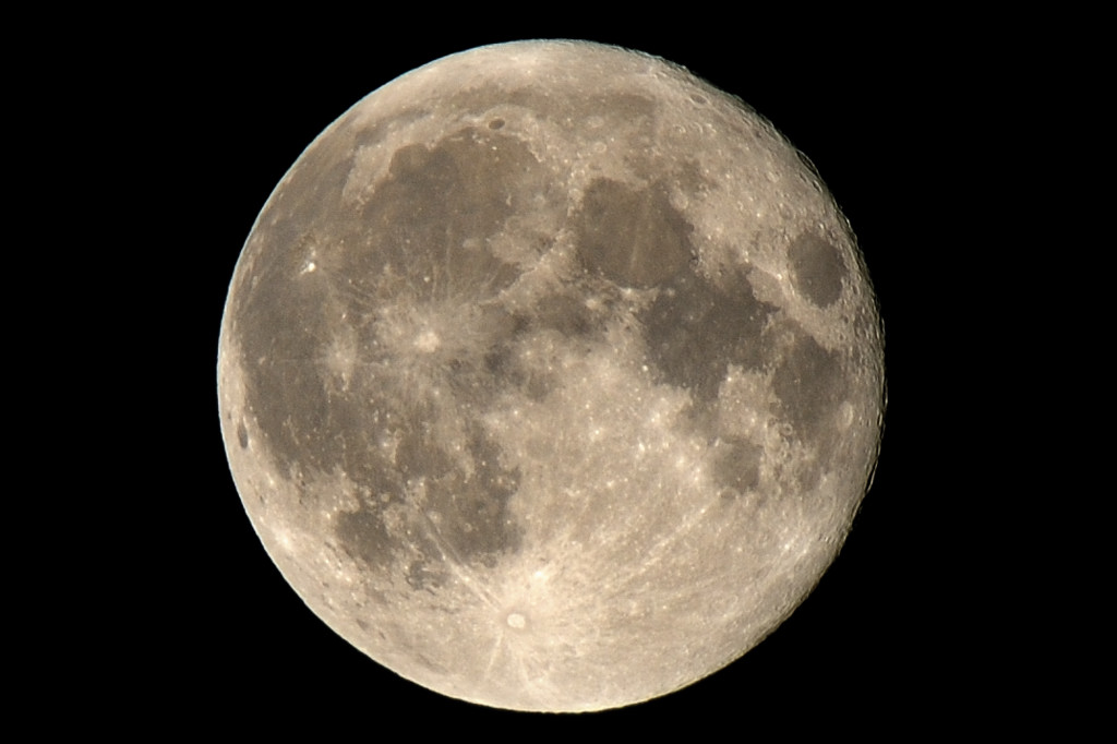DSC 1789 NFF