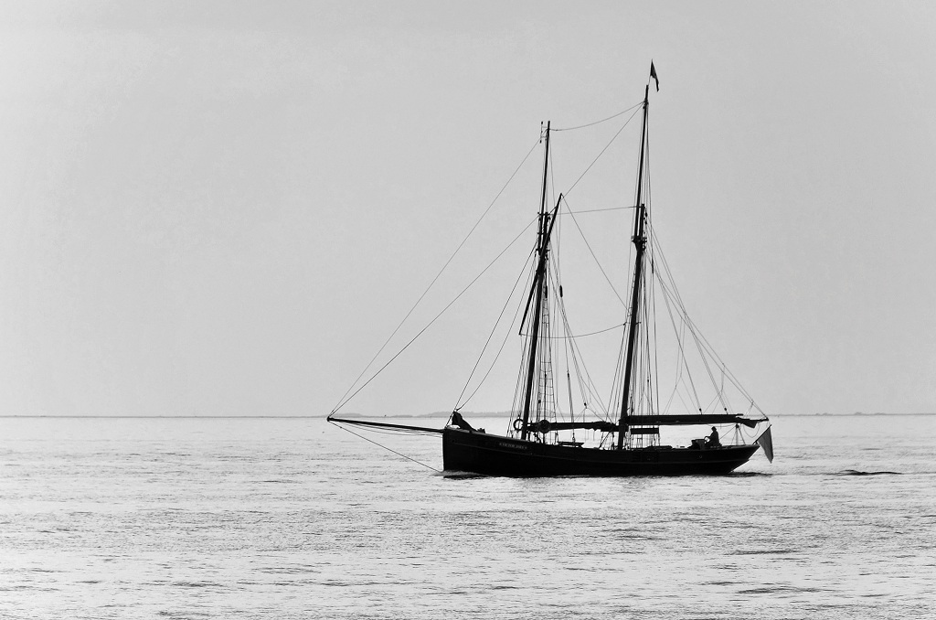 DSC 1798 DxO 3