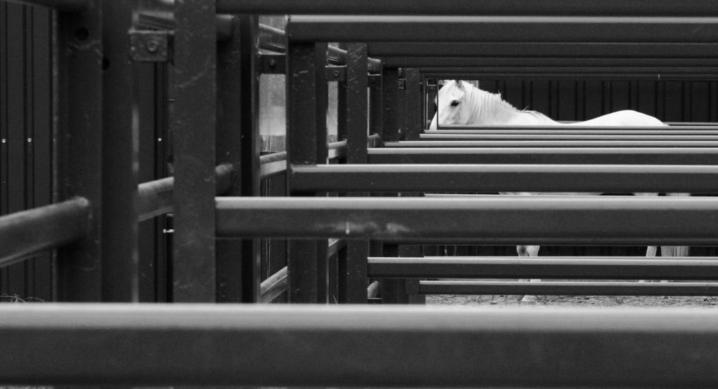 DSC 1840 web
http://www.nikon-fotografie.de/vbulletin/1594624-post9399.html