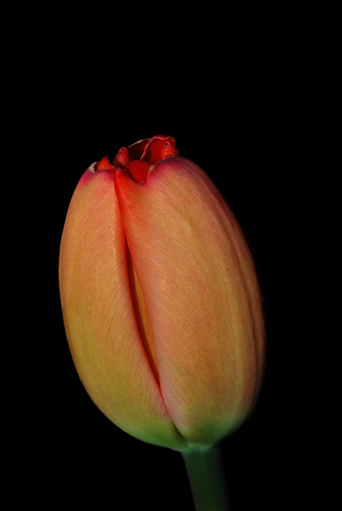 DSC 1846