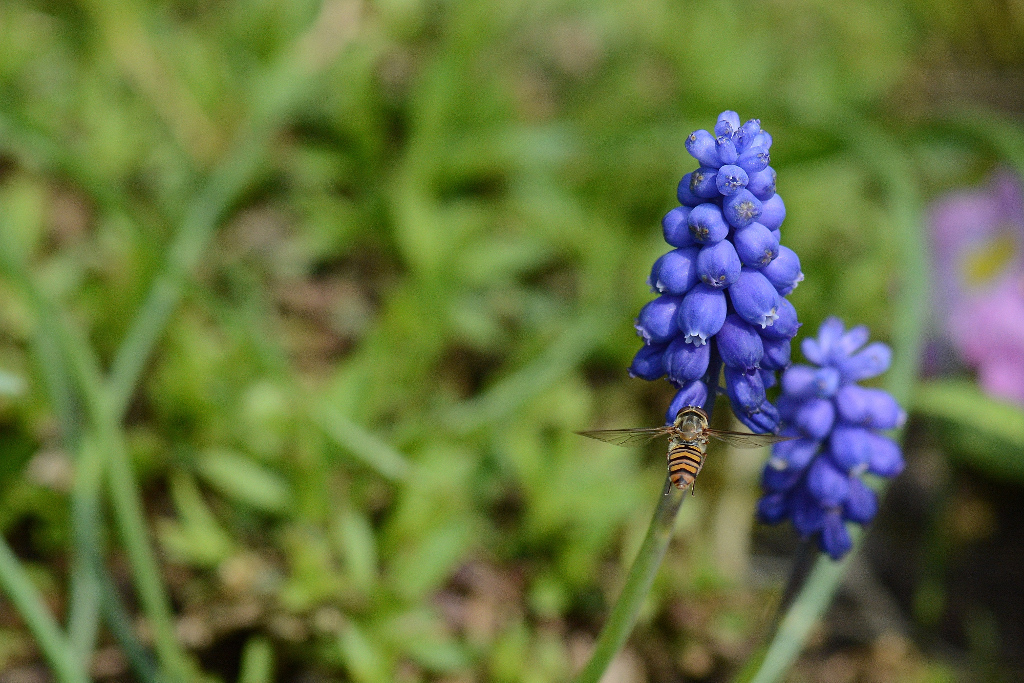 DSC 1858