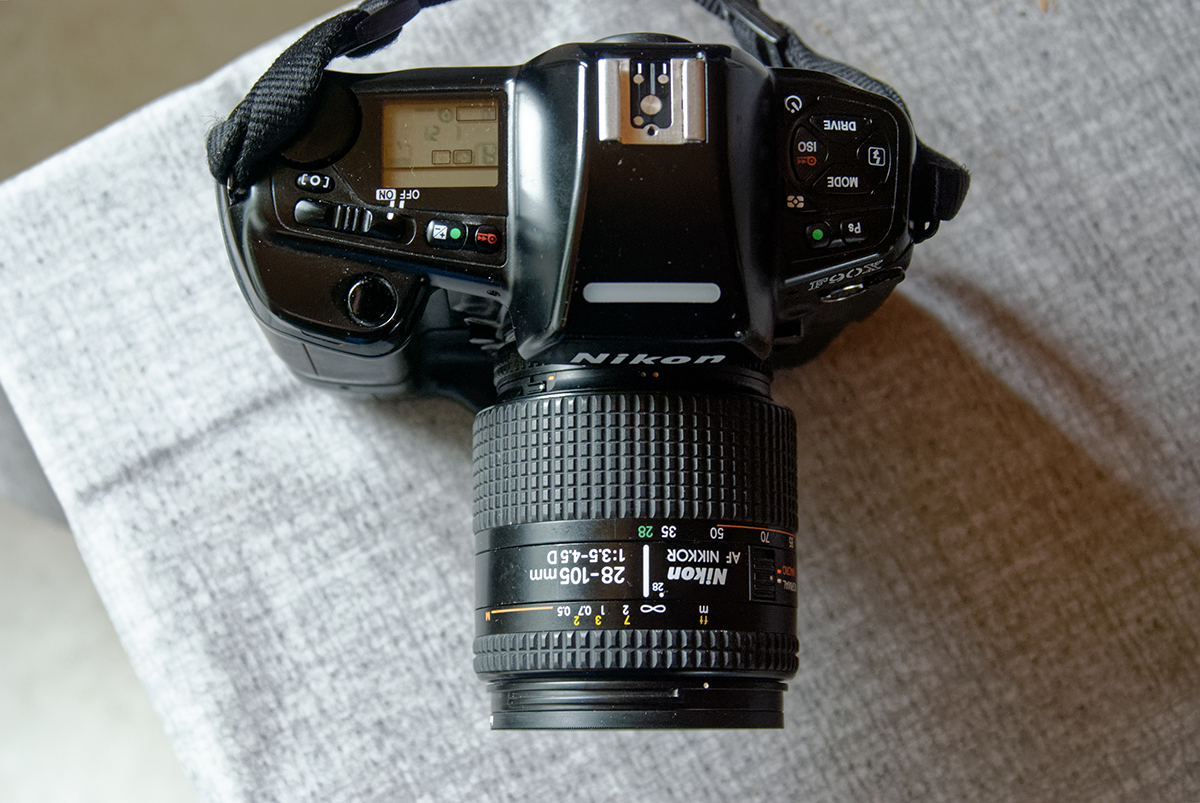 DSC 1859dxo1200