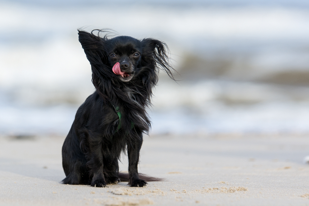 DSC 1877