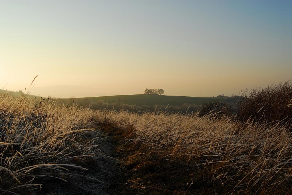 DSC 1903 bearbeitet 1