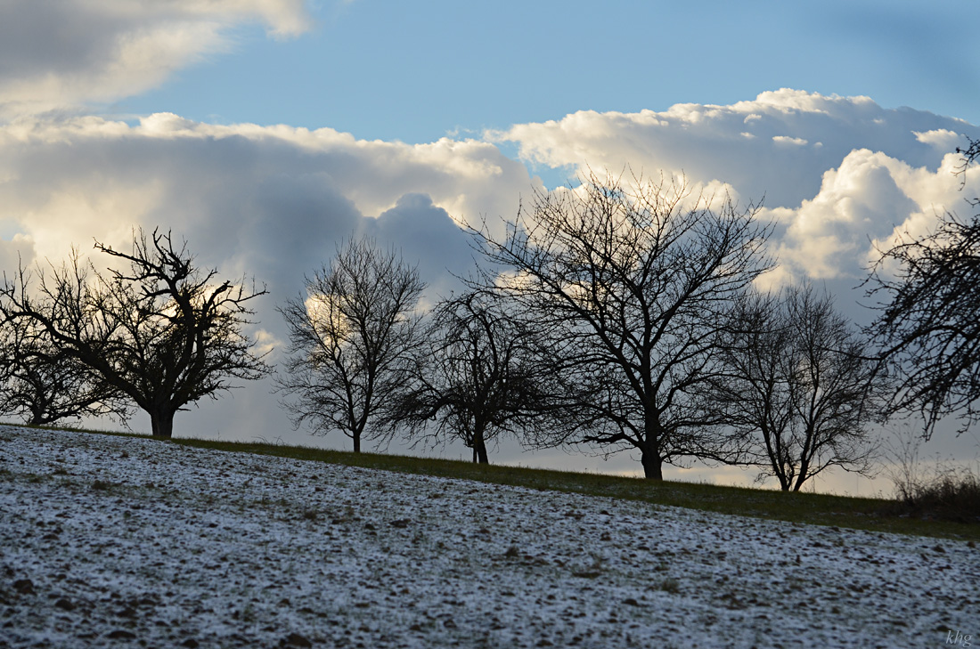 DSC 1920 Winter