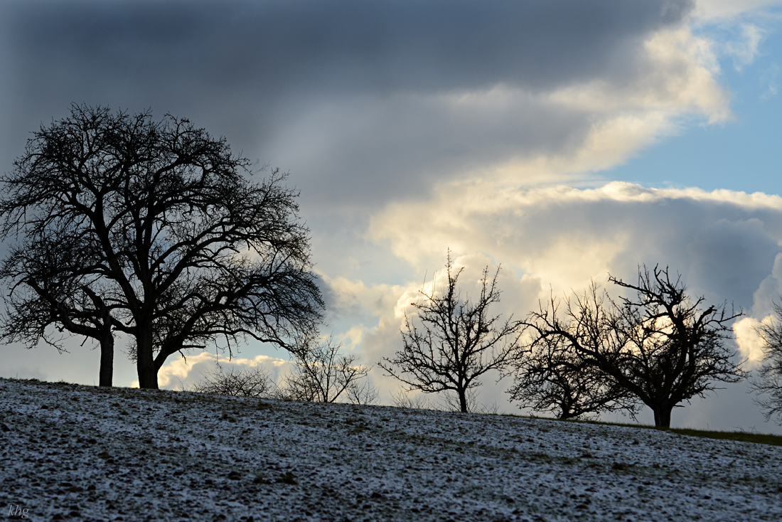 DSC 1923 Winter