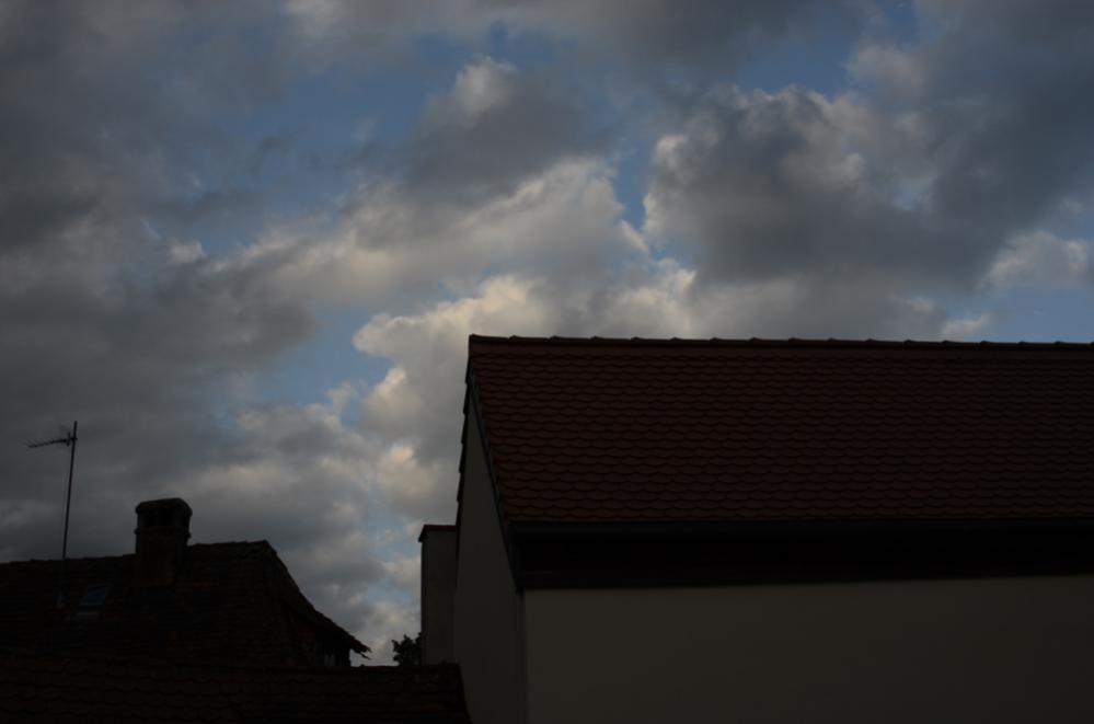 DSC 1929