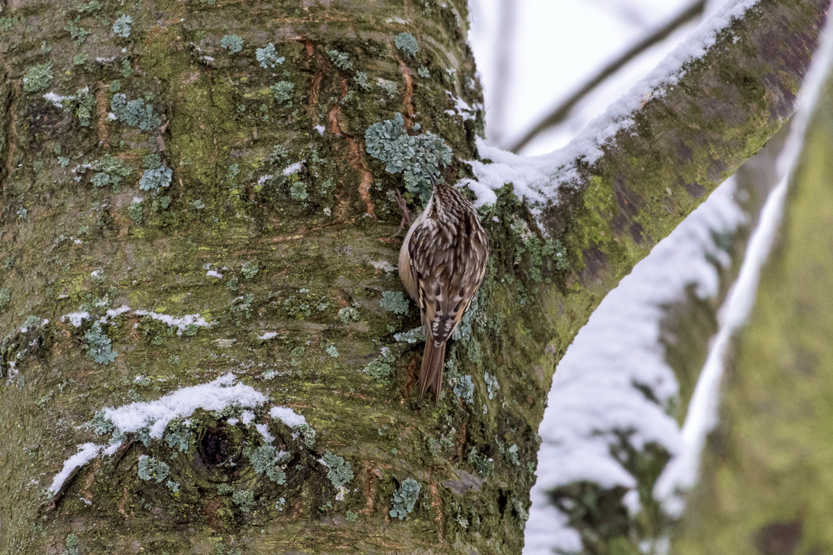 DSC 1932