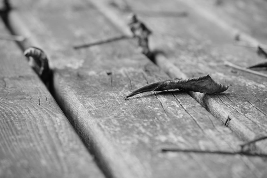 DSC 1940bwklein
