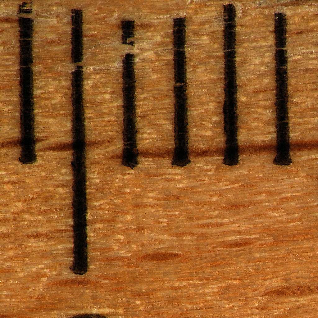 DSC 1949 li o
Sigma 90/2.8 Makro in oo-Stellung
+ Vorsatzobjektiv 90/2.5
Maßstab 1:1
100%-Crop oben links