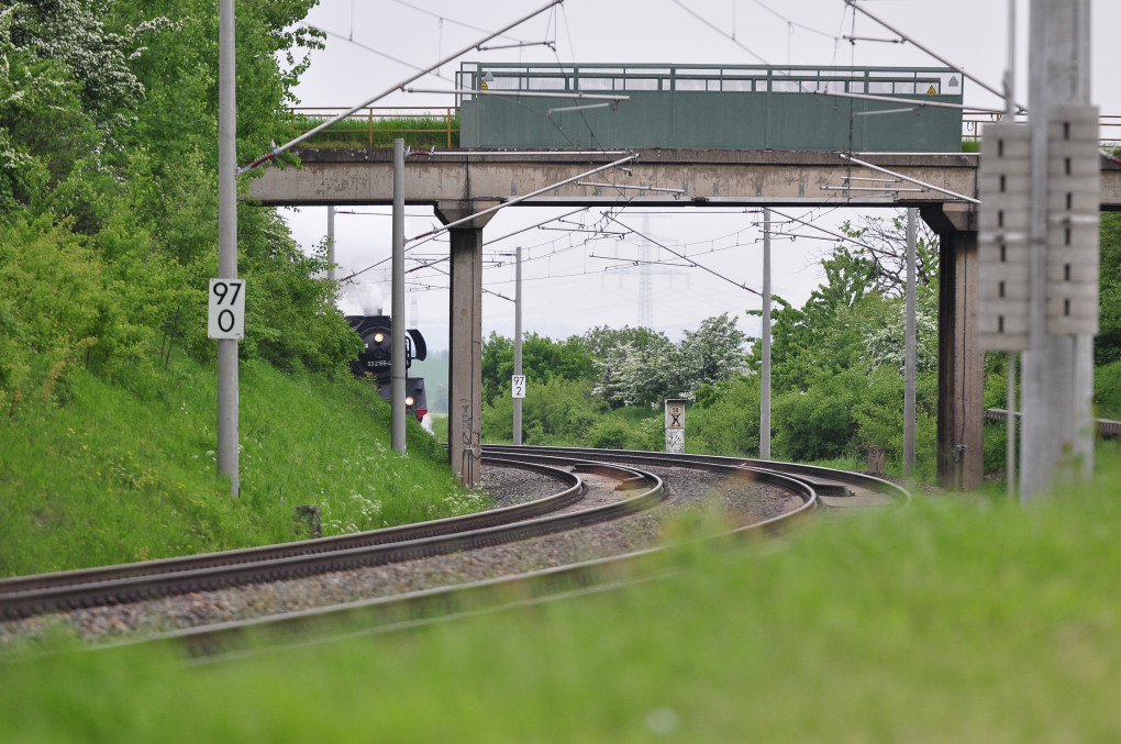 DSC 2026 03 2155 4