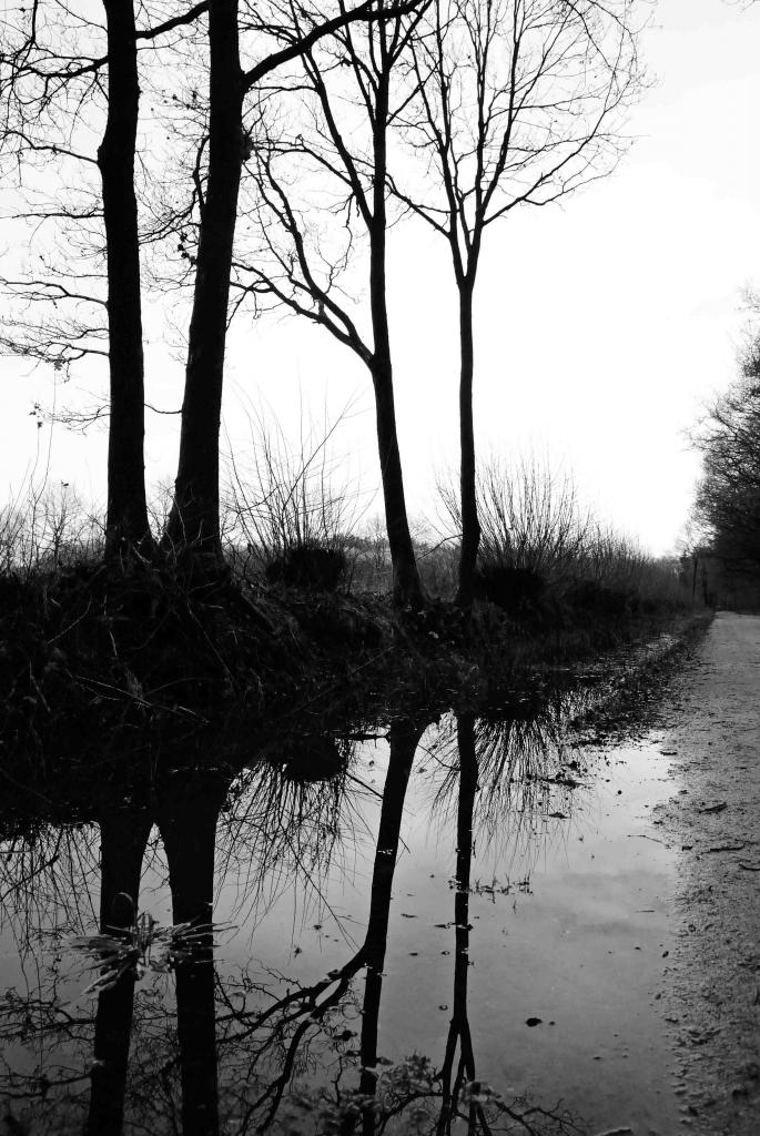 DSC 2054 nff