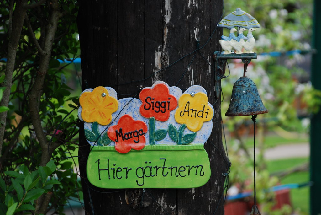 DSC 2105 Bildgröße ändern