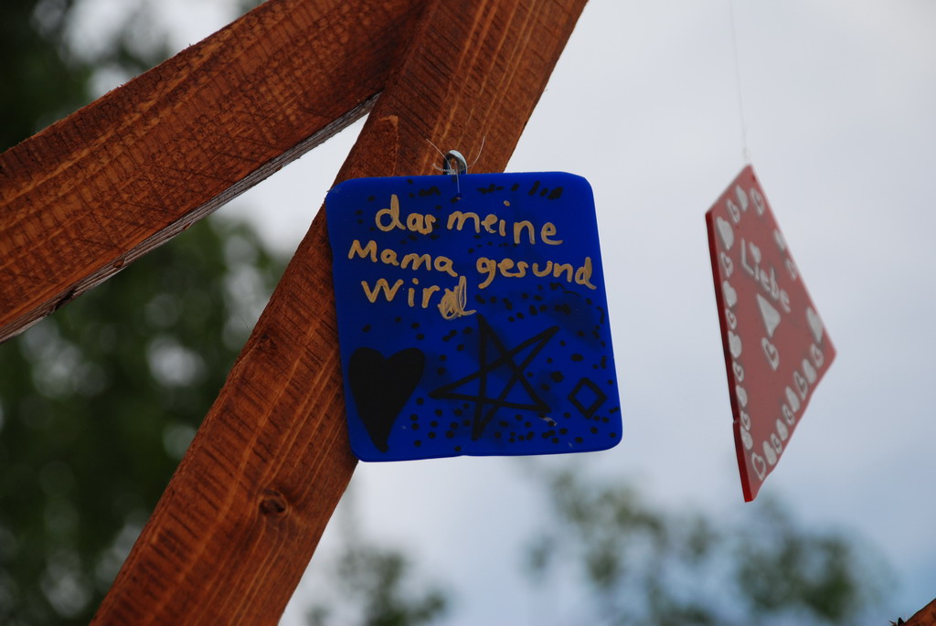 DSC 2115 Bildgröße ändern