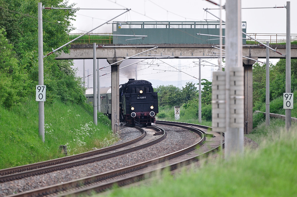 DSC 2124 44 1486 8