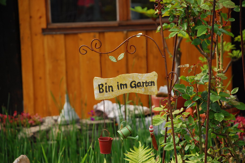 DSC 2125 Bildgröße ändern