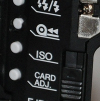 DSC 2149 cr