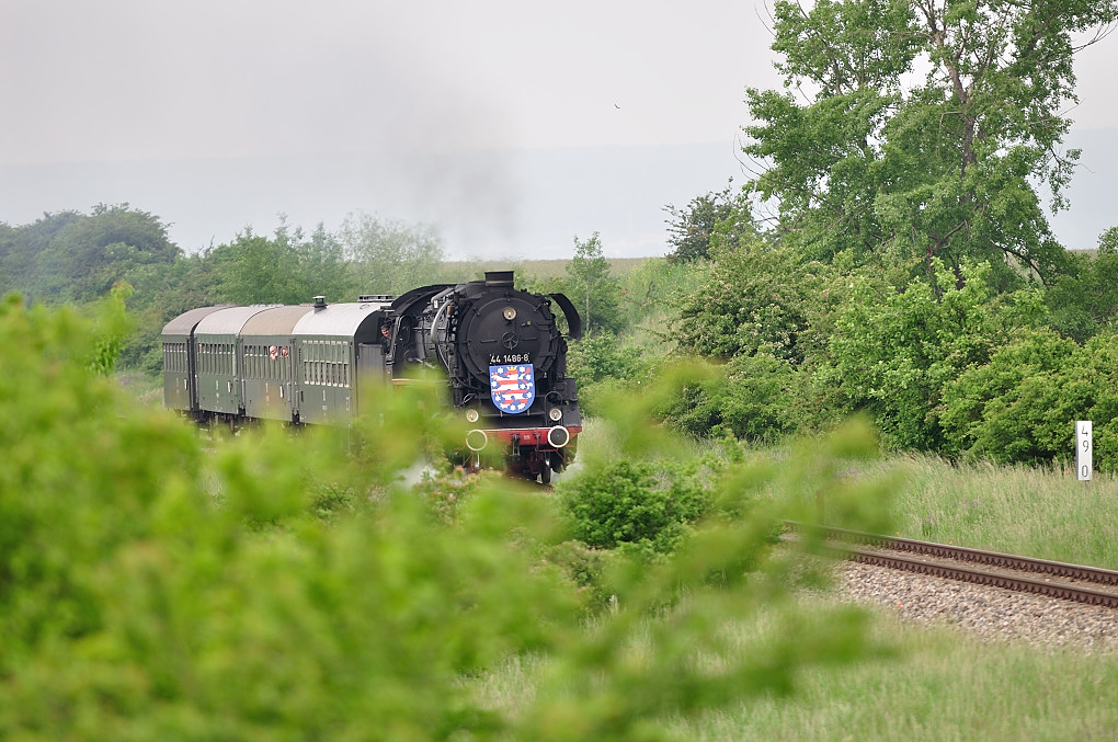 DSC 2311 44 1486 8