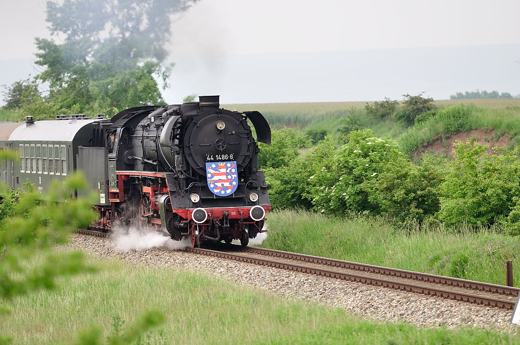 DSC 2313 44 1486 8