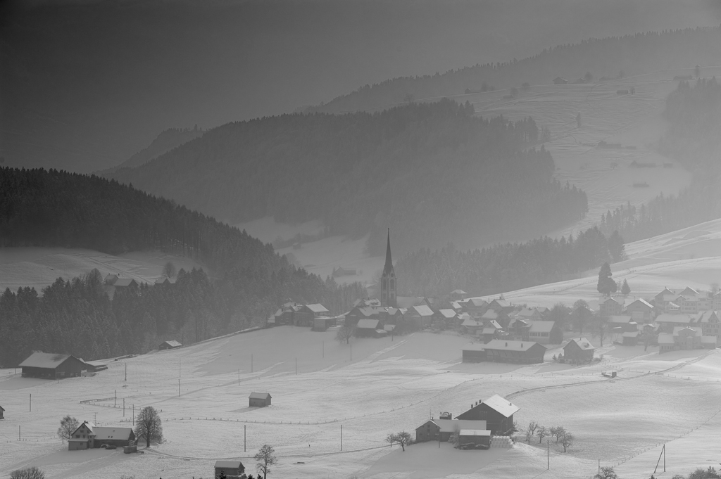 DSC 2325 2 Kopie