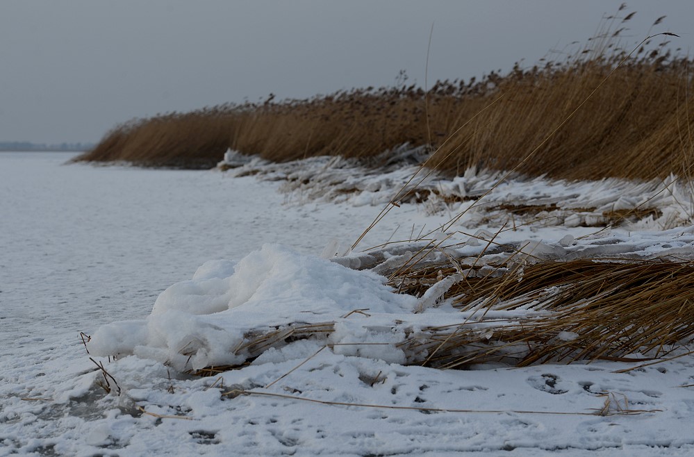 DSC 2327 Bodden Wustrow