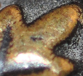 DSC 2377