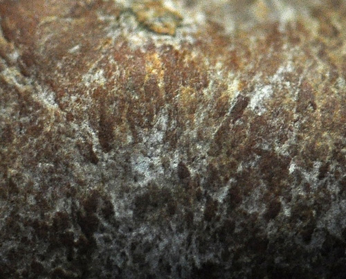 DSC 2378