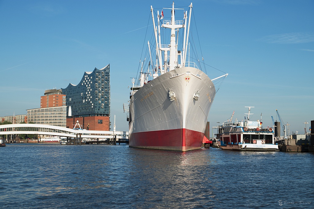 DSC 2404