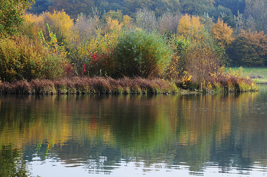 DSC 2476fsks