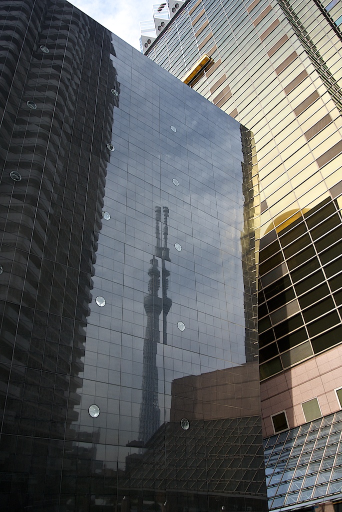 DSC 2488