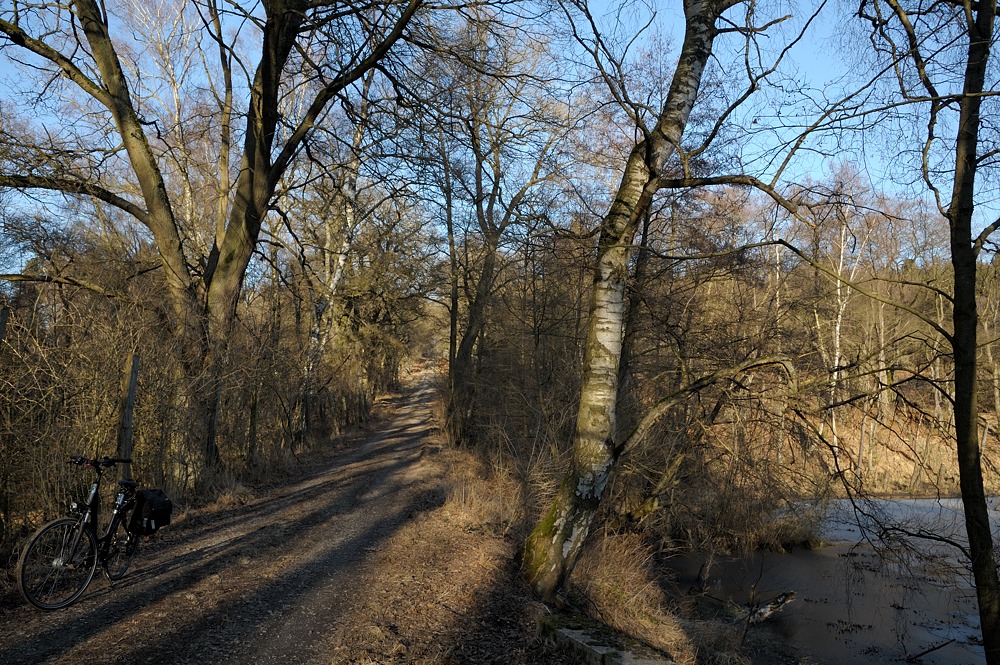 DSC 2505a