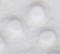 DSC 2506