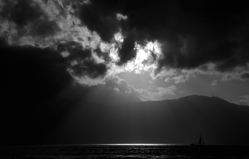 DSC 2612 sw