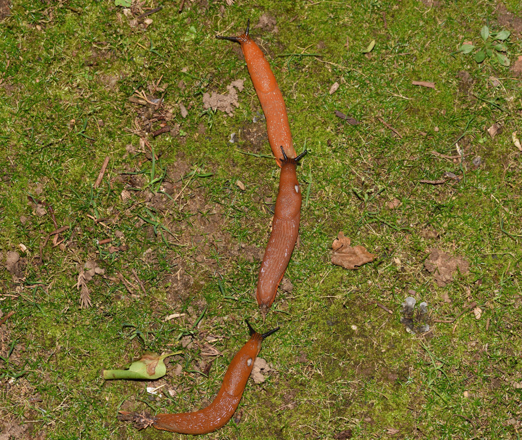 DSC 2707