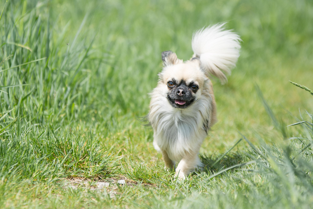 DSC 2711