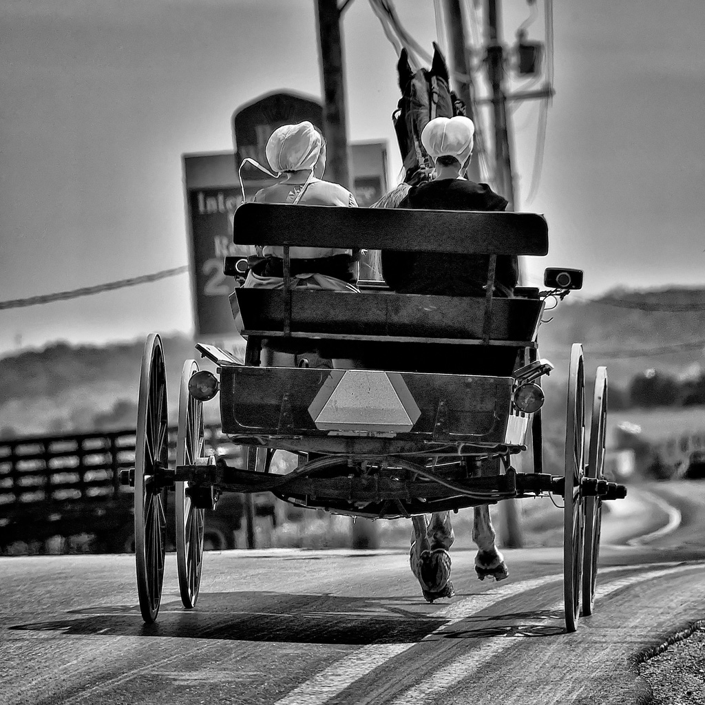 DSC 2741 1bwsilv filtered