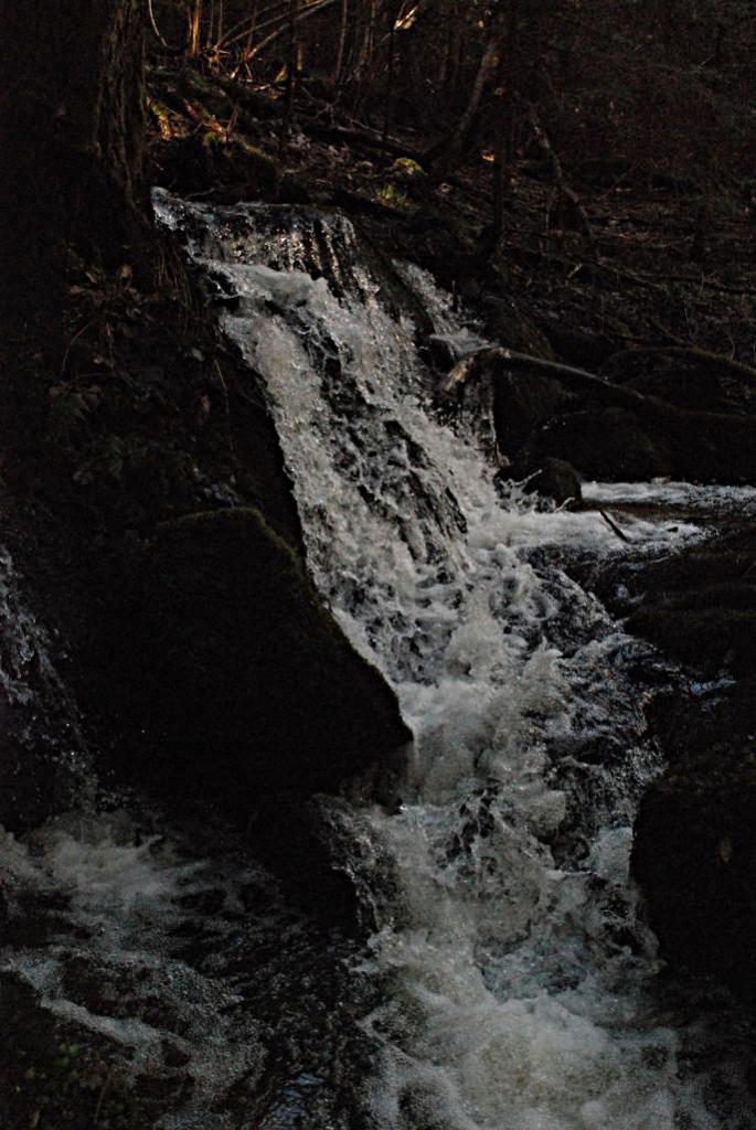 DSC 2786