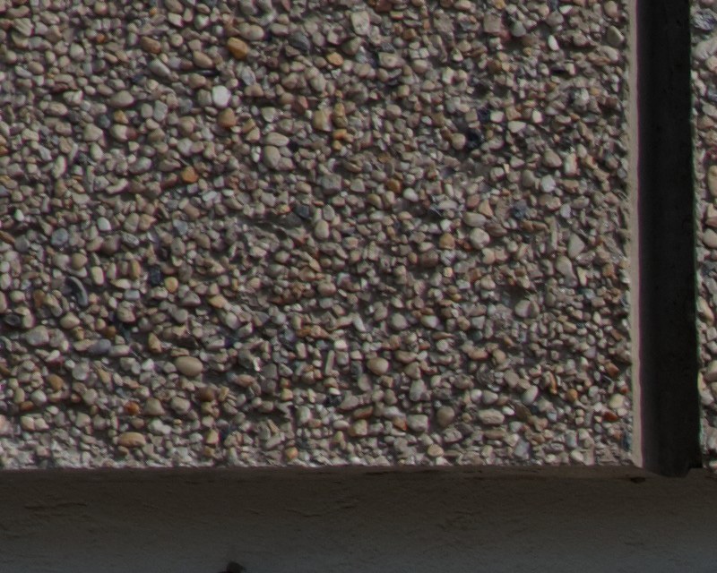 DSC 2890 02
