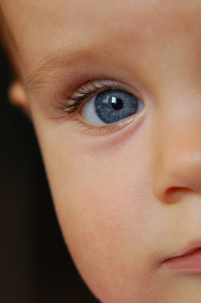 DSC 2918 002crop