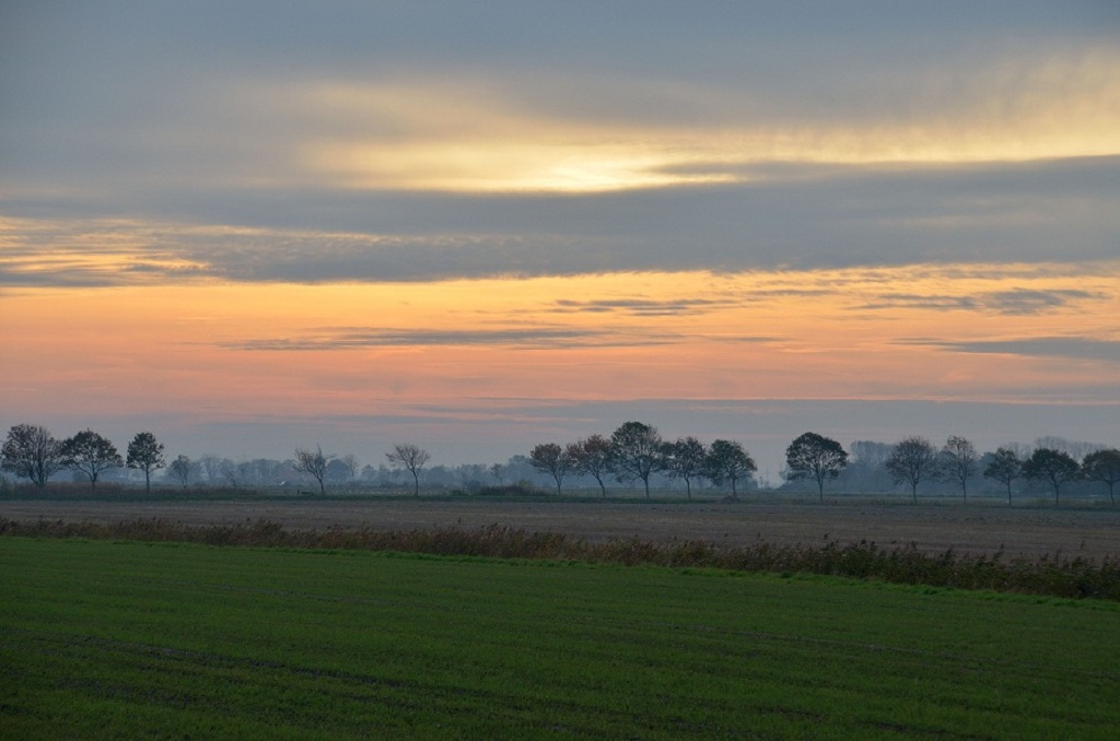 DSC 2948
