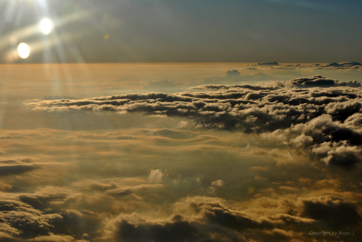 DSC 2962 001a