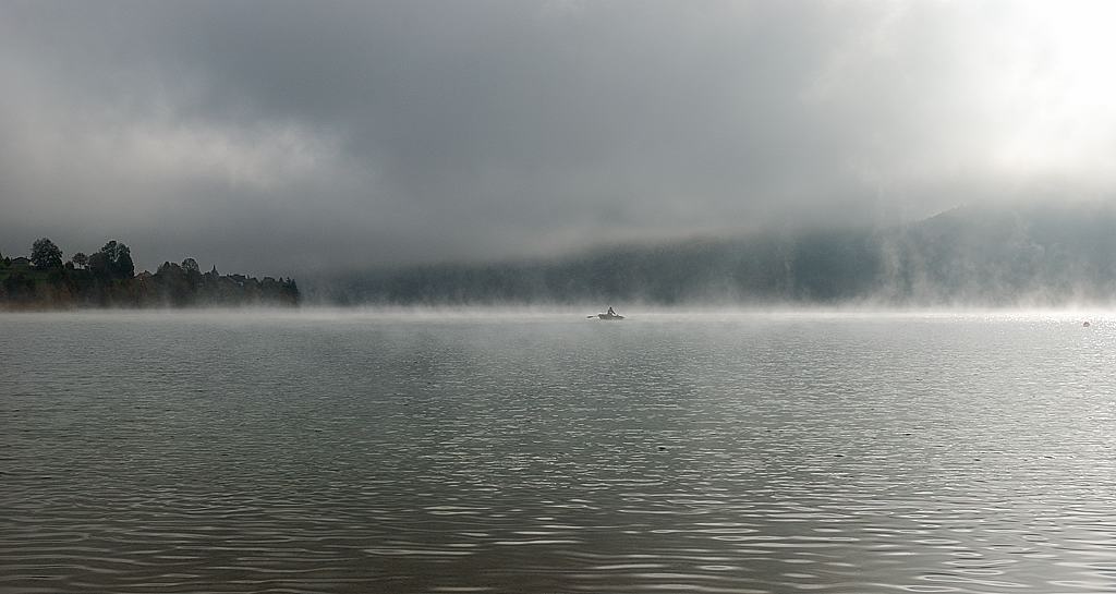 DSC 3029