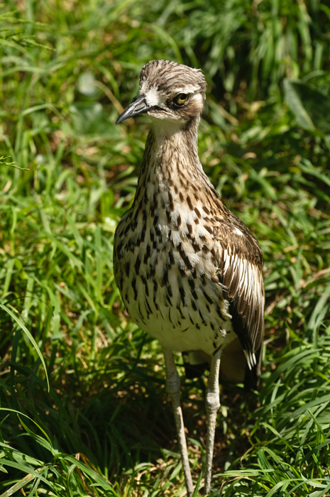 DSC 3059